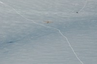 HB-ORV en reconnaissance au Trient. Photo: Martial Mathieu - 10.02.2008